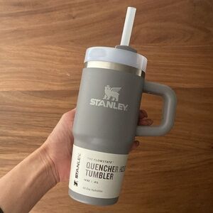 Mini Stanley Gray Quencher H2.0 Tumbler 14 oz